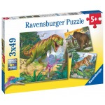 Ravensburger Dinosaury a čas 3x49